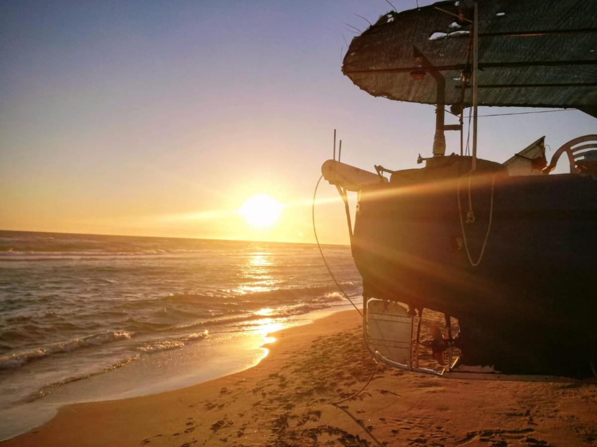 Luxury Beach House Torvaianica Dış mekan fotoğraf